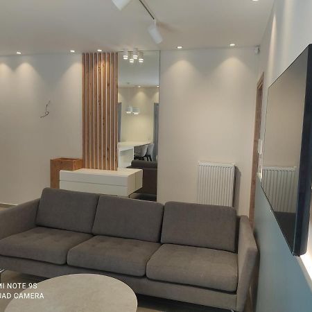 Blue Rose Luxury And Comfort Apartment At The Centre Of 普雷韦扎 外观 照片